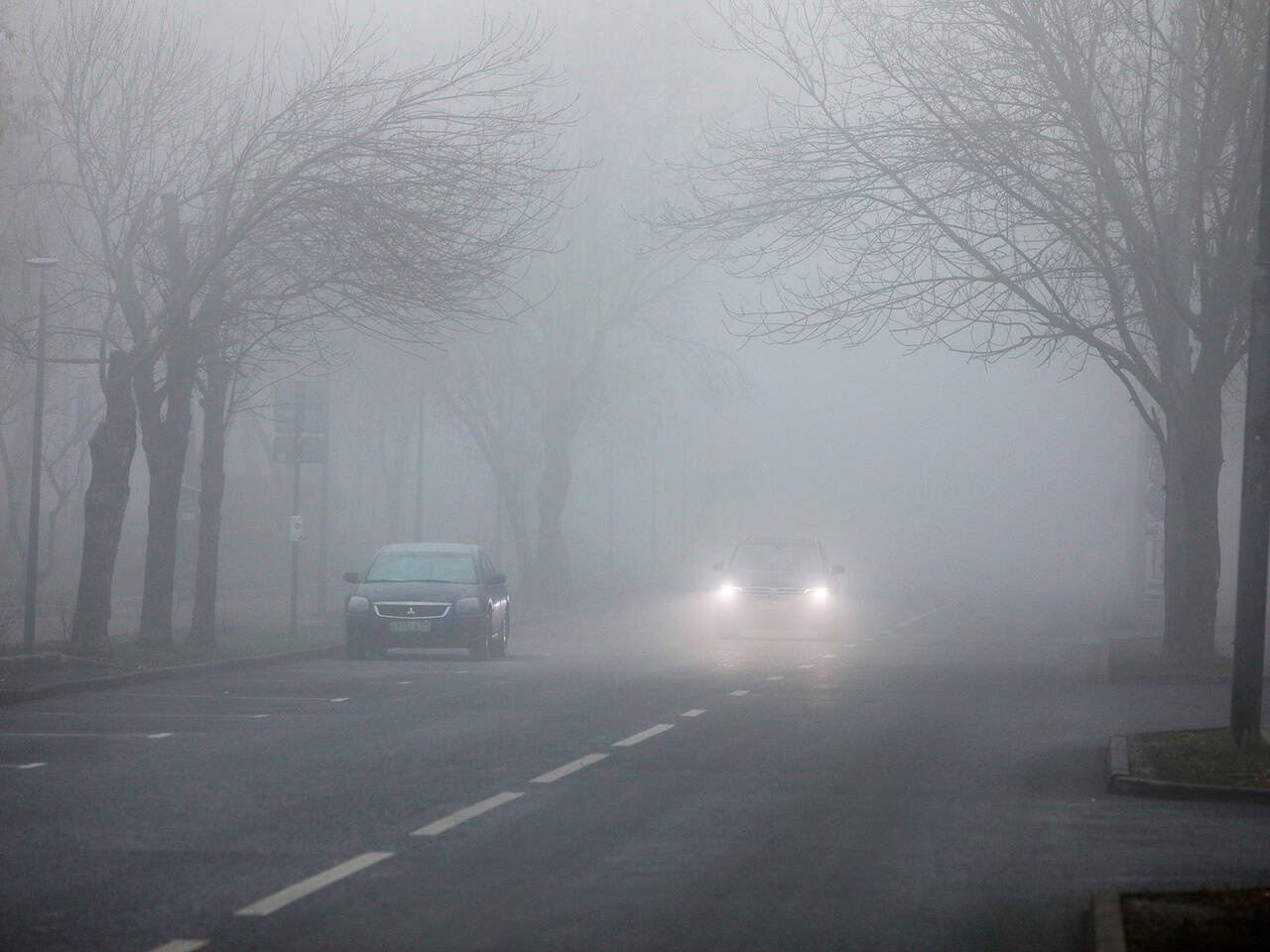 Госавтоинспекция предупреждает об ухудшении видимости на дорогах из-за тумана