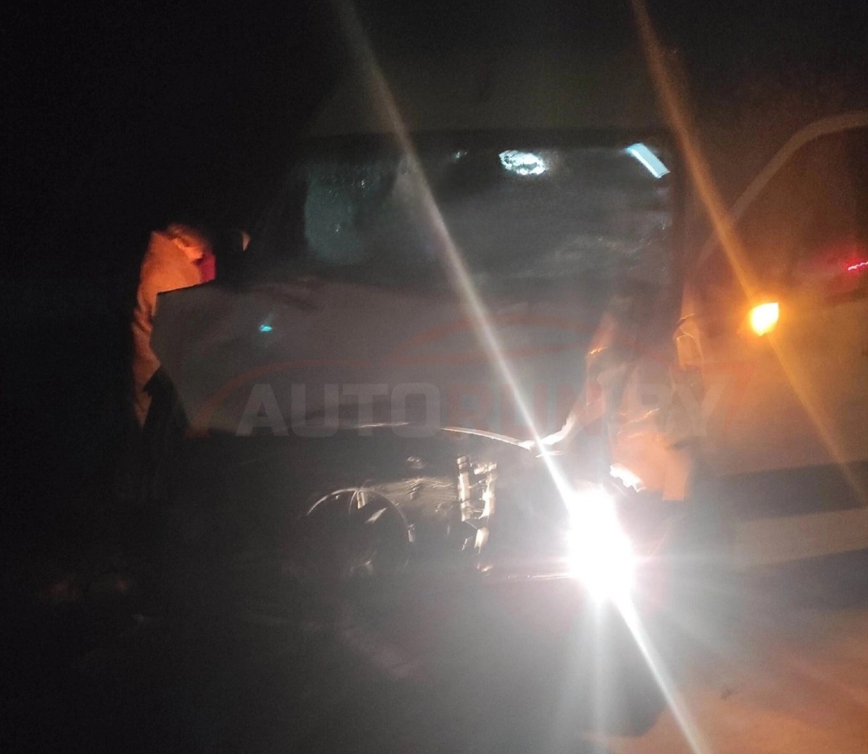 Микроавтобус сбил выбежавшего на дорогу лося в Минской области