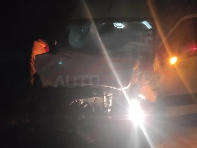 Микроавтобус сбил выбежавшего на дорогу лося в Минской области