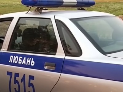 В Любанском районе пьяные водитель и пассажир пытались отобрать у участкового оружие
